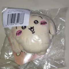 ちいかわ　うさぎだらけくじ　E賞　ぬいぐるみバッジ（ヤハ）