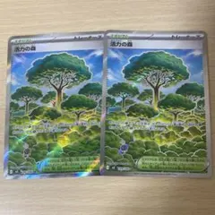 ポケモン 活力の森 sr