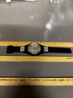 WWE TNAチャンピオンベルト　ラストです！のサムネイル