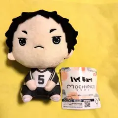 ハイキュー　もちぴこ　ぬいぐるみ　赤葦京治
