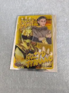 ゴジュウジャー　暴神竜儀　トレカ