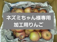 【ネズミちゃん様専用g2】加工用りんご