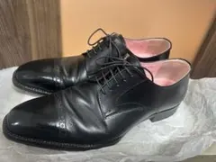 Item thumbnail for item 59a3a1a4-c624-4418-9839-9ac9118fd382