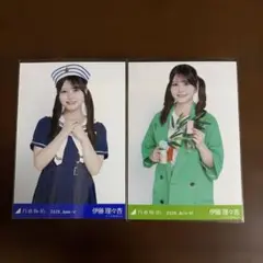 乃木坂46 伊藤理々杏 生写真 2枚セット