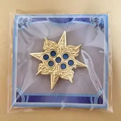 Fate FGO 星見の回廊 グランドクラス　アイコン　ピンバッジ　ビースト