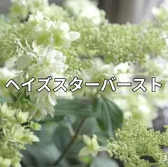 sy様 リクエスト 2点 まとめ商品