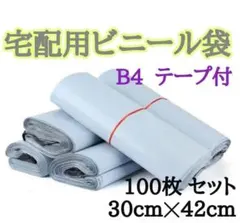 宅配用ビニール袋 B4 テープ付 100枚セット 30cm×42cm