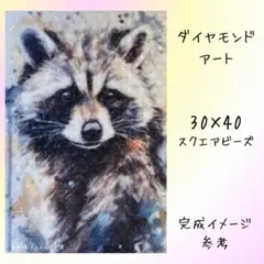 【おまけ付き】ダイヤモンドアート アライグマ 30x40 cm 動物 可愛い