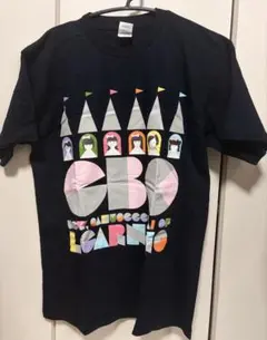 私立恵比寿中学 年忘れ大学芸会 2015 TシャツL USED 私立恵比寿中学 年忘れ大学芸会 2015 TシャツL USED - メルカリ