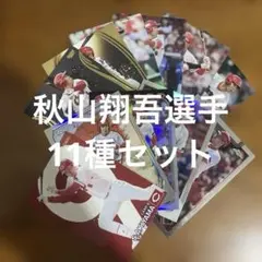 プロ野球チップスカード等秋山翔吾選手11種まとめセット(キラ7種、ノーマル4種)のサムネイル