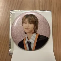 SEVENTEEN セブチ HOLIDAY 缶バッジ THE8