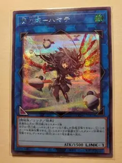 遊戯王 PSA10 完美品 シークレット 閃刀姫-ハヤテ 鑑定品 SSB1 遊戯王 PSA10 完美品 シークレット 閃刀姫-ハヤテ 鑑定品 SSB1