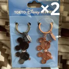 ディズニーリゾート　サングラスペアキーチェーン　キーホルダー