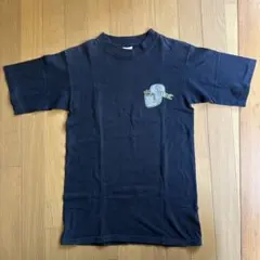 STUSSY USA製 白タグ 90s Sサイズ表記 Tシャツ クラウンロゴ