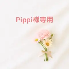 Pippi様 リクエスト 2点 まとめ商品　もちぱんだ、テディベア モールド