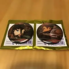 鬼滅の刃 キャラバッジコレクションB 時透無一郎 悲鳴嶼行冥