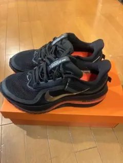 nike pegasus premium 26cm