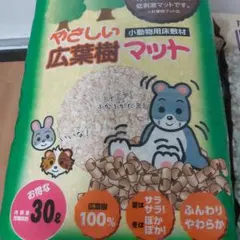 Item thumbnail for item 43d0fdfe-1b62-4fab-9e9d-a4db869bea54