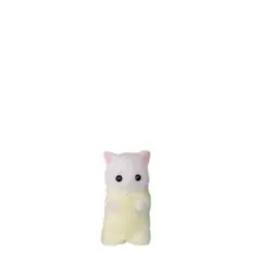 専用