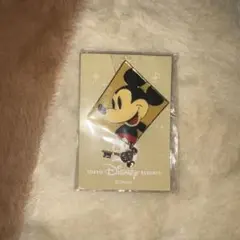 東京ディズニーリゾート 25周年 ミッキー ピンバッジ レア 非売品 帽子