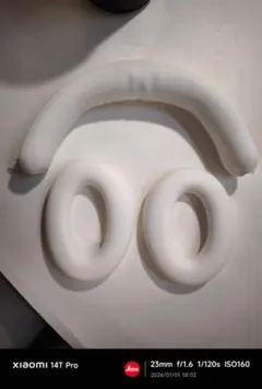 Item thumbnail for item b2d6a230-5bc4-41a7-8f08-426287dc6c5a