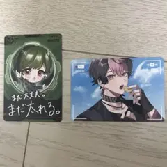 シクフォニチップス 2 2枚セット