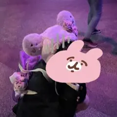 Disney - ディズニー　ミニー　ファンキャップ　紫　被り物　かぶりもの　帽子　カチューシャ Disney（パープル/紫色系）のフリマアイテム一覧