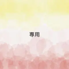 さよ様 リクエスト 3点 まとめ商品