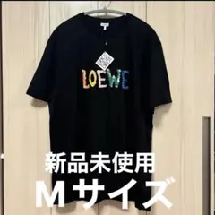 【未使用タグ付き】M/ロエベコットンロゴTシャツ　レインボーのサムネイル