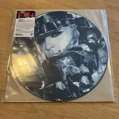 SUBLIME ピクチャーディスク レコード レア盤 サブライム 限定 - メルカリ