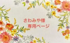 さわみや様 リクエスト 2点 まとめ商品