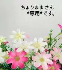 ちょりまま様 リクエスト 2点 まとめ商品