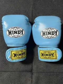 WINDY ボクシンググローブ レガース セット 2025年最新】WINDY ボクシングの人気アイテム - メルカリ