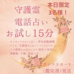 本日限定3名様‼️初めての方向け／初めての電話占い／守護霊タロット占い／鑑定書発送