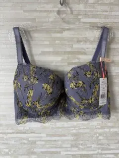 F65」トリンプ チャーミングラマー スリムライン モダンフリージア ブラジャー