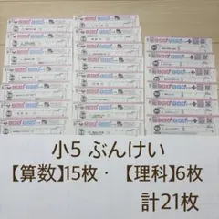 カラーテスト 5年生 算数　理科　ぶんけい こたえ・てびきシート21枚　内申のサムネイル