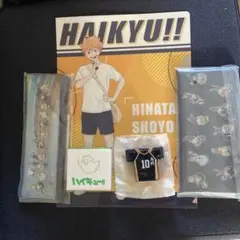 ハイキュー!! 日向翔陽 マツキヨココカラコラボクリアファイル他、4点セット