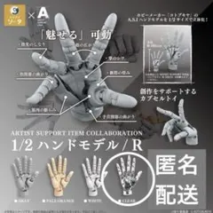コトブキヤ ハンドモデル 1/2 クリア R 未組み立て品 リーフレット付き