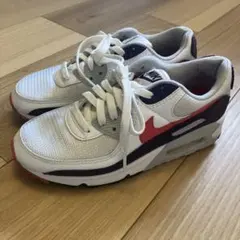 NIKE エアマックスⅢ　EGGPLANT CW1360 24.5 MAX90