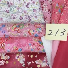 213