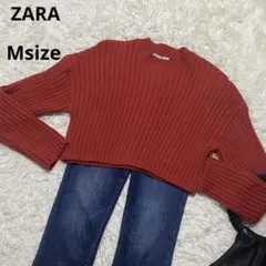 Item thumbnail for item 560199b4-68e3-4ea5-9e5c-d83efde08fc7