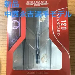 Item thumbnail for item 6dca3605-9a15-4053-80a4-da1f96d43246