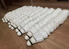 Item thumbnail for item a44e0aaf-e06e-496b-9285-f8a415e19d14