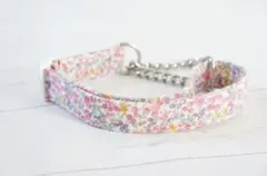 Item thumbnail for item 3c628951-ff9c-47b0-8915-b229dfbfbdae