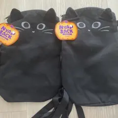 Item thumbnail for item 7674dffe-3074-4f64-9ae4-a87ea29abead