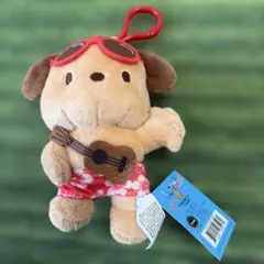 ポチャッコ ぬいぐるみ　キーホルダー　ハワイ　ダイヤモンドヘッド限定　タグ付き ポチャッコ ぬいぐるみ キーホルダー ハワイ ダイヤモンドヘッド限定
