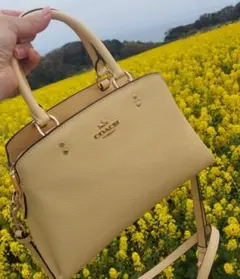 2026年最新】COACH カラー：イエロー系 レディース ハンドバッグの人気 