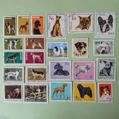 犬 海外切手 コレクション 20枚セット - メルカリ