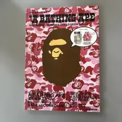 A BATHING APE 2007春夏コレクション