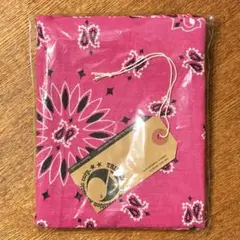 Item thumbnail for item 9803671b-5689-438b-9152-0c469c0e71ce